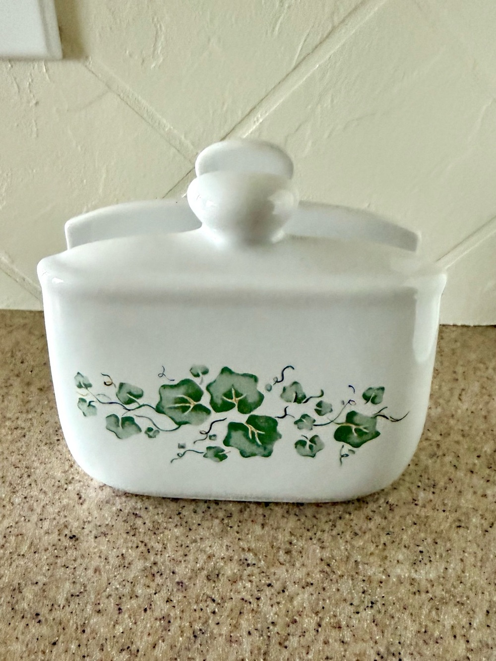 Corelle Coordinates Callaway Green Ivy Napkin Holder